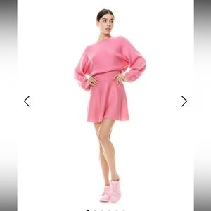 NWOT Alice + Olivia Murray Fit and Flare Mini Dress Calypso Pink Sz 6